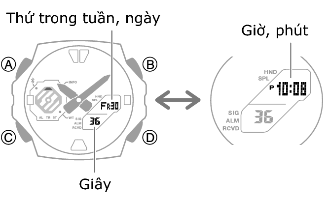 5690_05_fl_Intro