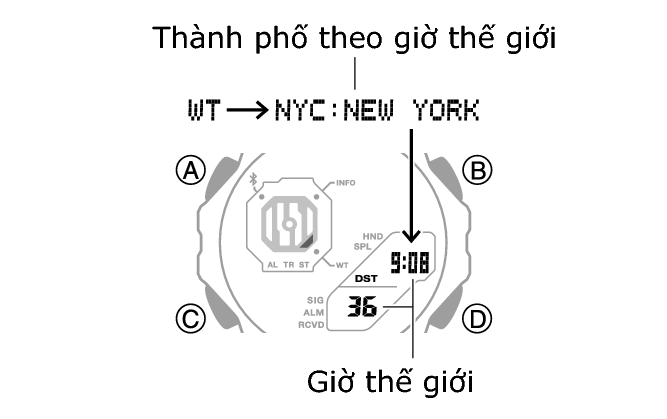 5690_18_WT