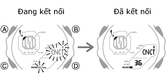 5690_fl_BLEcnct_Start_Finish