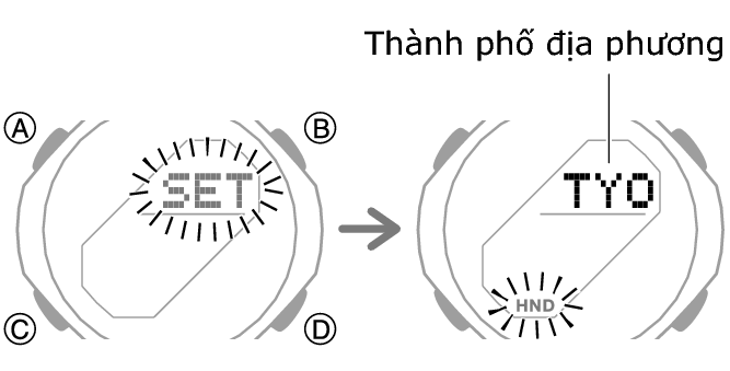 5732_12_fl_MobileLink_comon