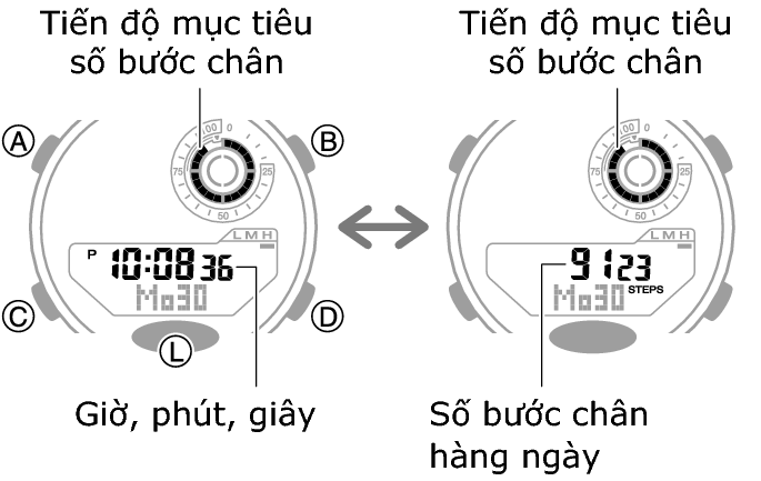 5736_46_fl_Pedometer