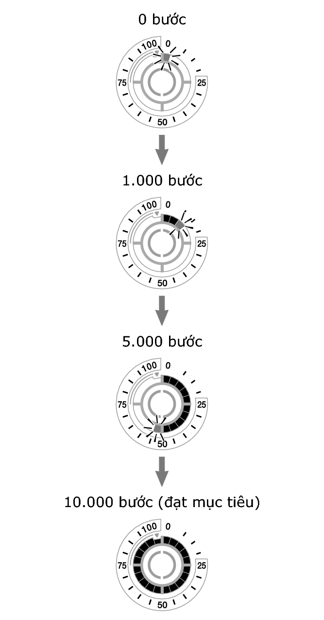 5736_fl_steps_Pedometer