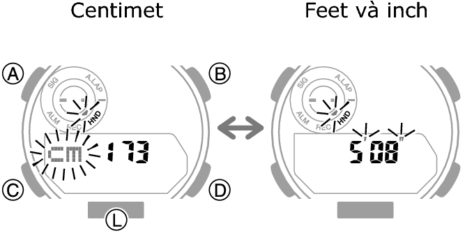 5737_01_fl_EN_Profile