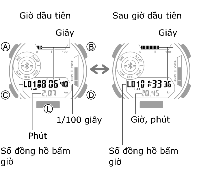 5737_52_53_LAP_comon