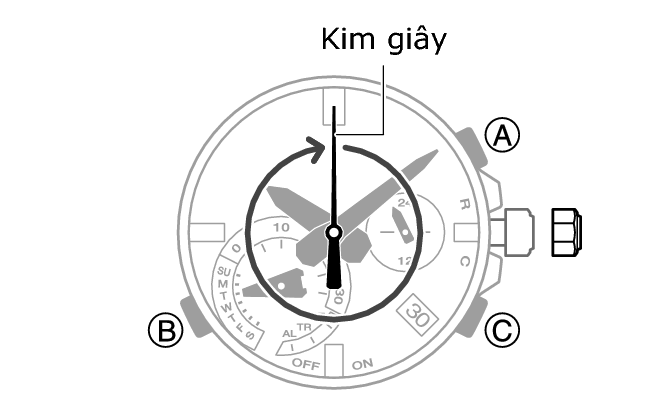 5748_23_AHDIA_common