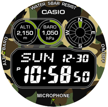 Casio watch online face